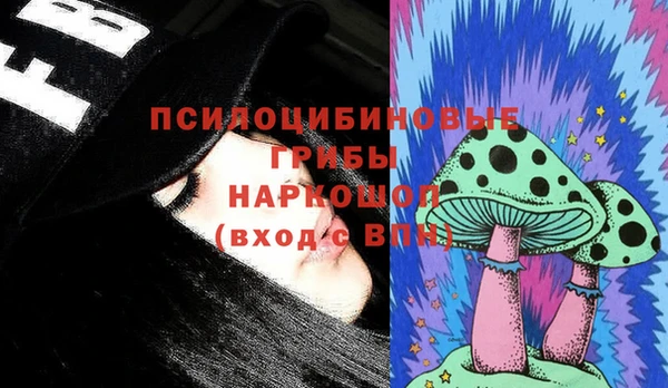 гашик Вязники