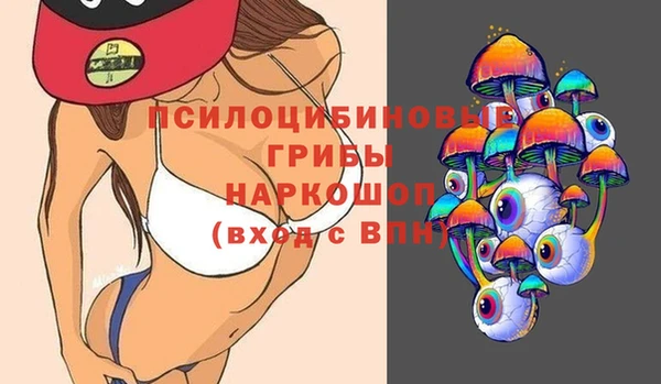 гашик Вязники