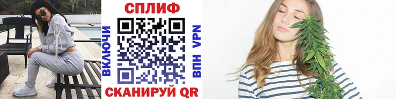 Каннабис планчик  Камызяк 